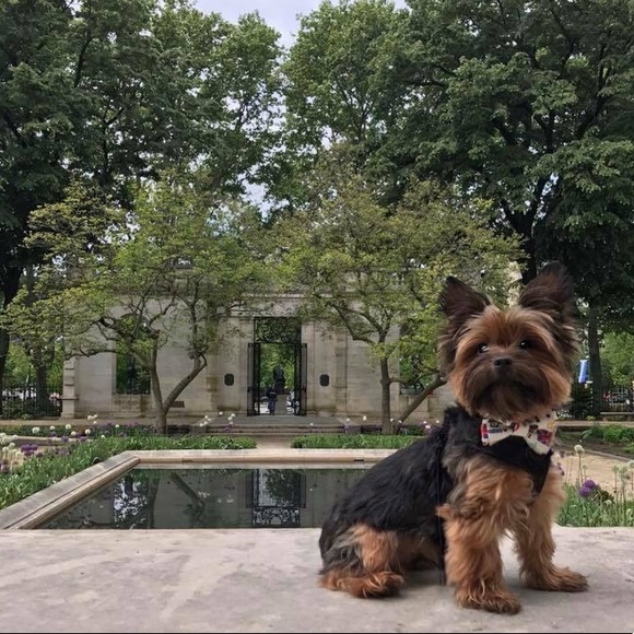 Meet your Poshie, Lauren! - Picture 3 of 6